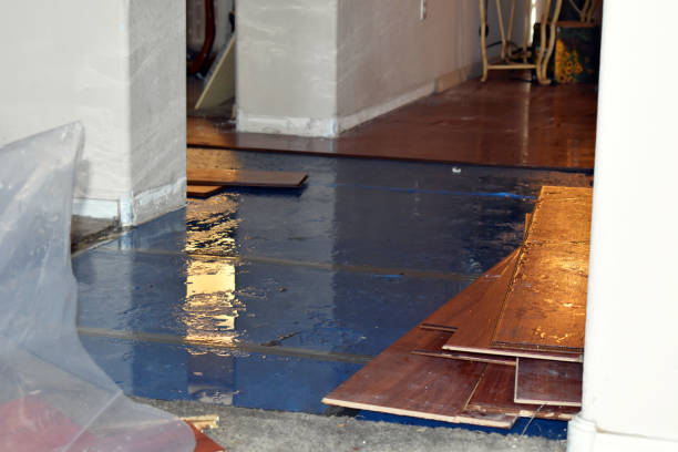 Professional Basement Flood Cleanup technician working in Rougemont, NC